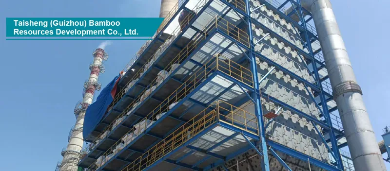 2500 tds/d Alkali Recovery Furnace Flue Gas Denitration Project