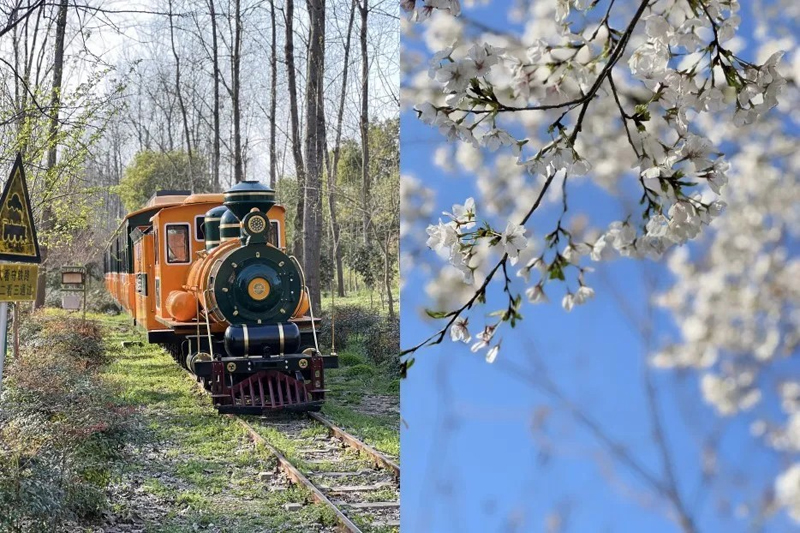 TONEXUS Environmental Protection's 2024 Outing Event Successfully Held