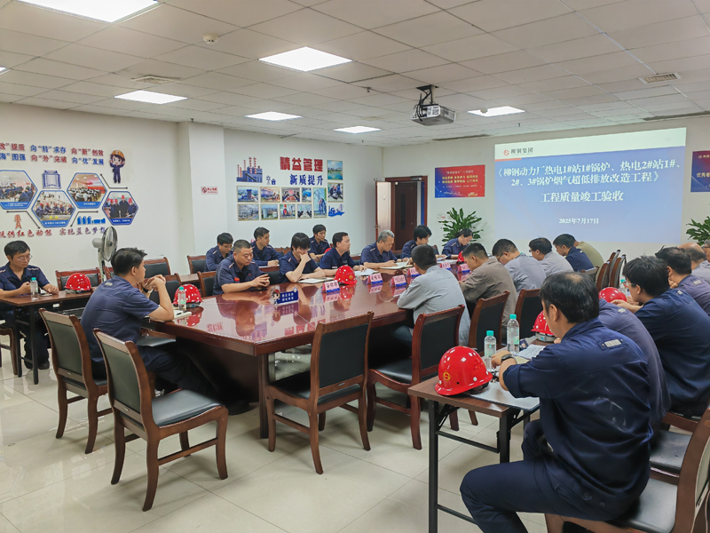 TONEXUS Technology's Ultra-Low Emission Retrofit Project for Liuzhou Steel Successfully Passes Final Acceptance