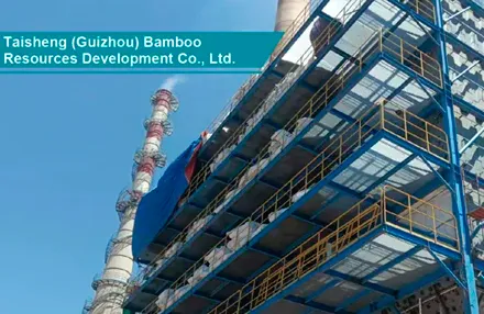 Flue Gas Treatment Cost: An Investment in Clean Air and Sustainable Growth