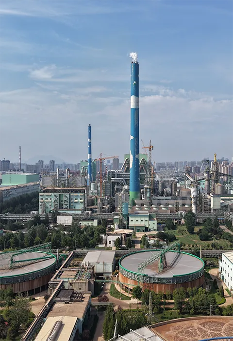 RB2-7500tds/d Alkali Recovery Furnace Flue Gas Low-Temperature SCR Denitration Project