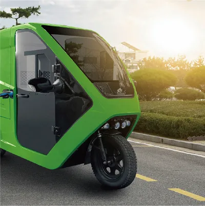 Low-speed Electric Vehicles