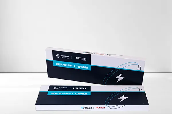 Short Blade Prismatic Battery